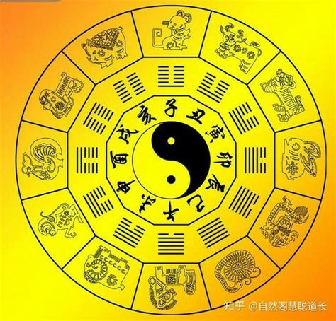 十二生肖八卦|八卦与生肖对照表 12生肖五行方位八卦图解析